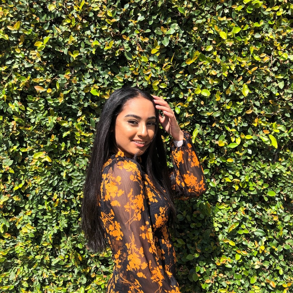 Meet your Posher, Dilsa